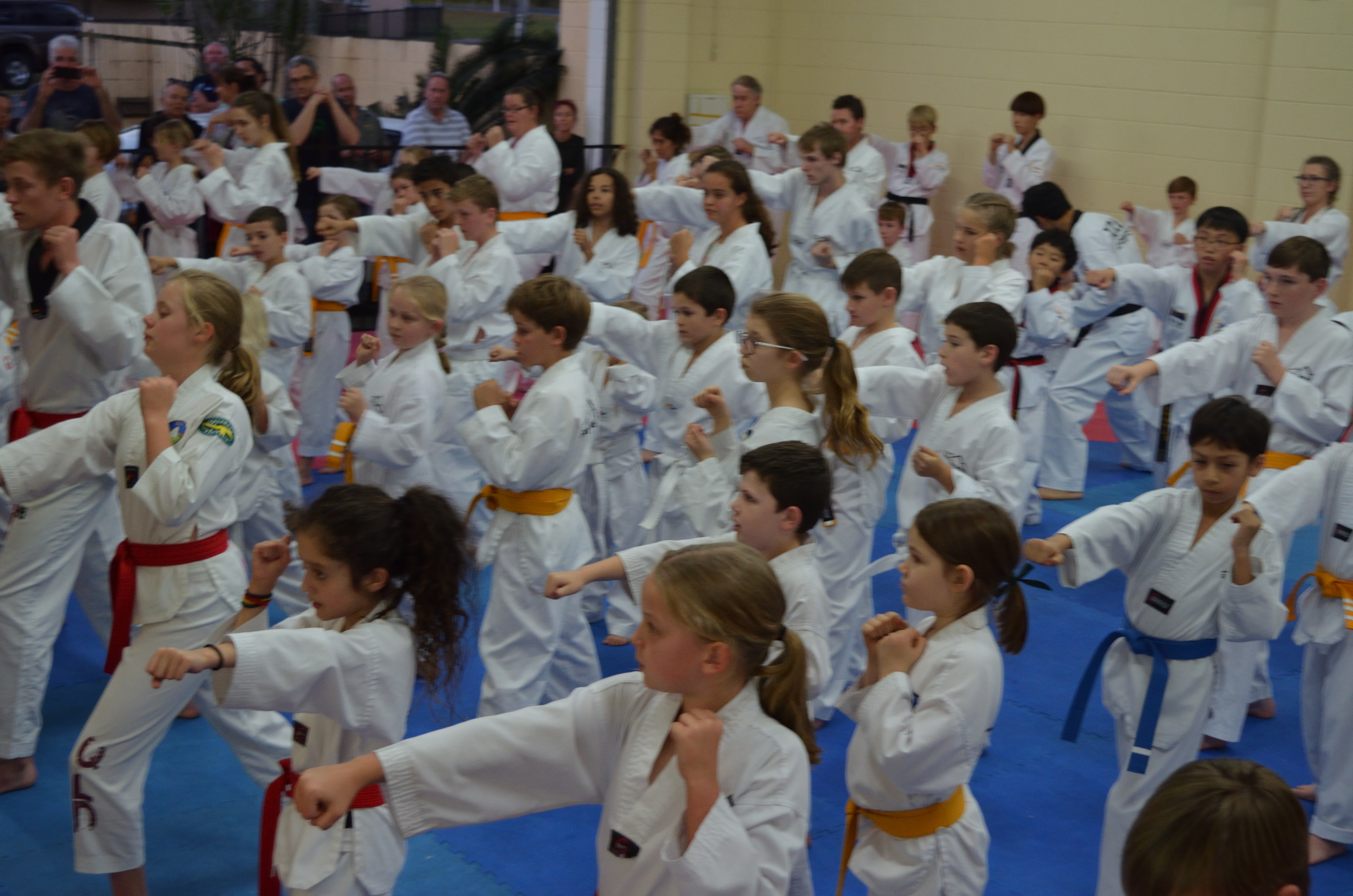 Martial Arts – San Training Centre